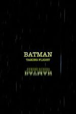 Batman: Taking Flight
