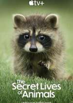 The Secret Lives of Animals