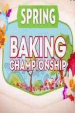 S11 E11 Spring Baking Championship Season 11 Episode 11